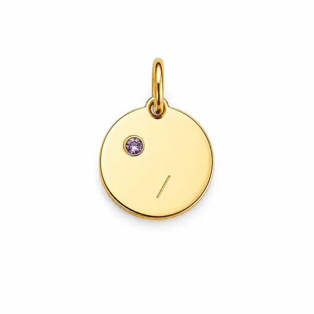 Birthstone Circle Charm