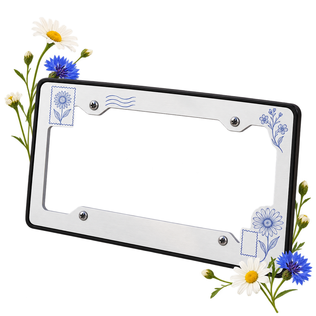 License Plate Frame, a frame surrounding a separate licence plate