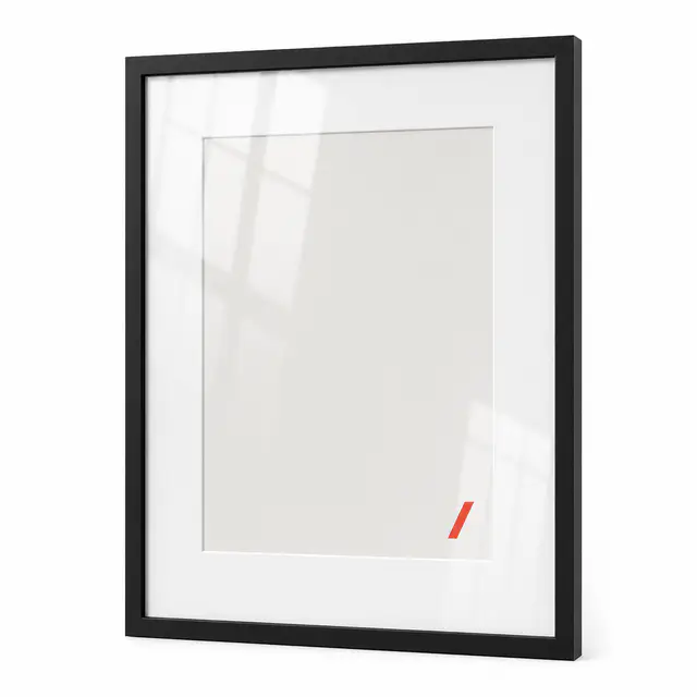 Matted Framed Print