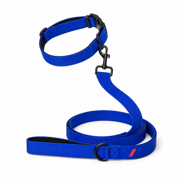 Print-on-demand pet collar and leash set — matching all-over polyester print, cut-and-sew