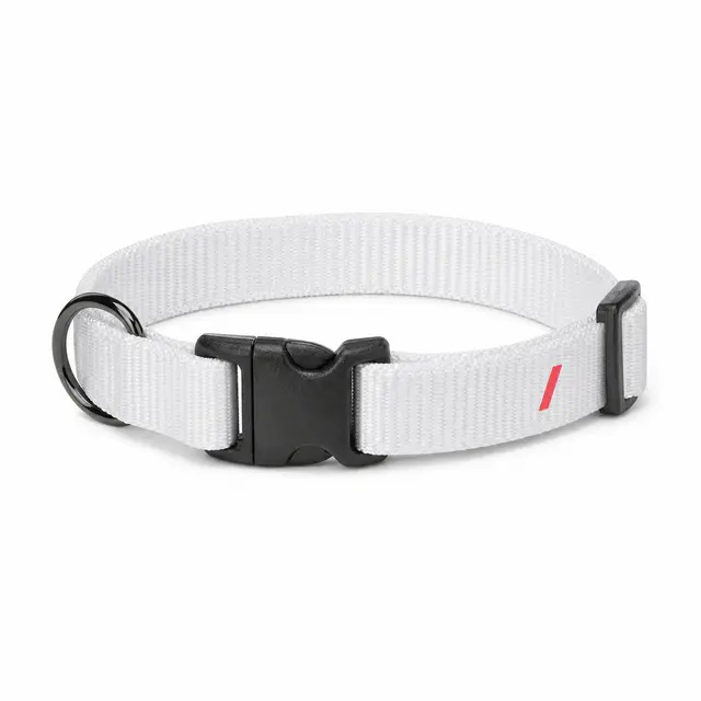 Pet Collar