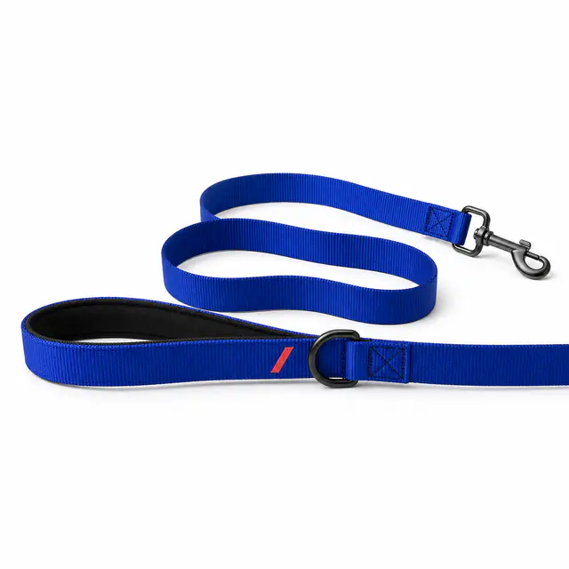 Print-on-demand pet leash — polyester sublimation print, standard 6ft walking length