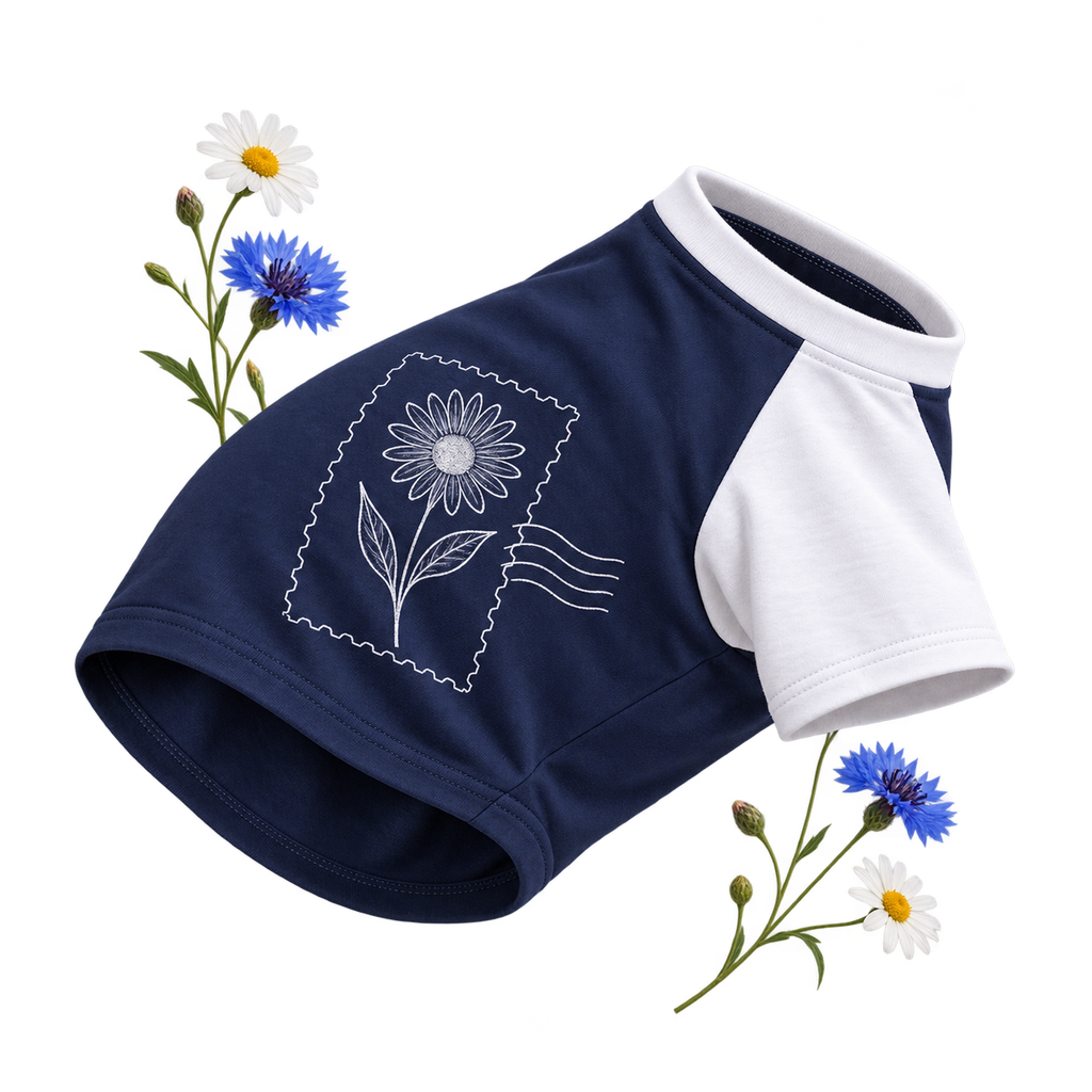 Portman & Pooch PP001 Dog Raglan T-Shirt, a garment shaped for a pet