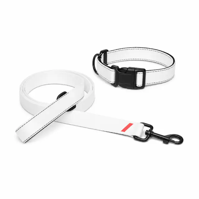Sublicolor 105 Pet Collar & Leash