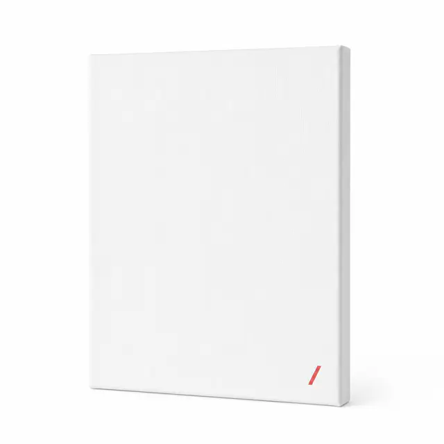 Thin Canvas Print